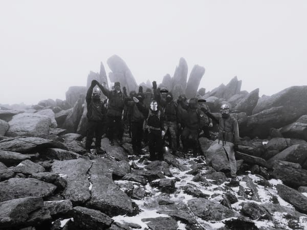 How Close to Neo-Nazi Terrorism is the New Fascist Homeland Party?